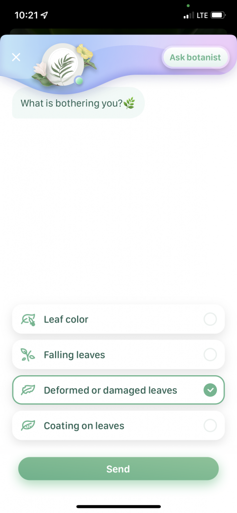 blossom app UX behavioral design