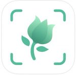 mobile app icon