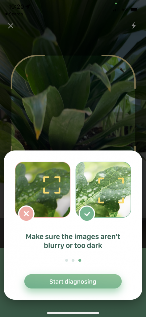 demonstrating the UX of a mobile app