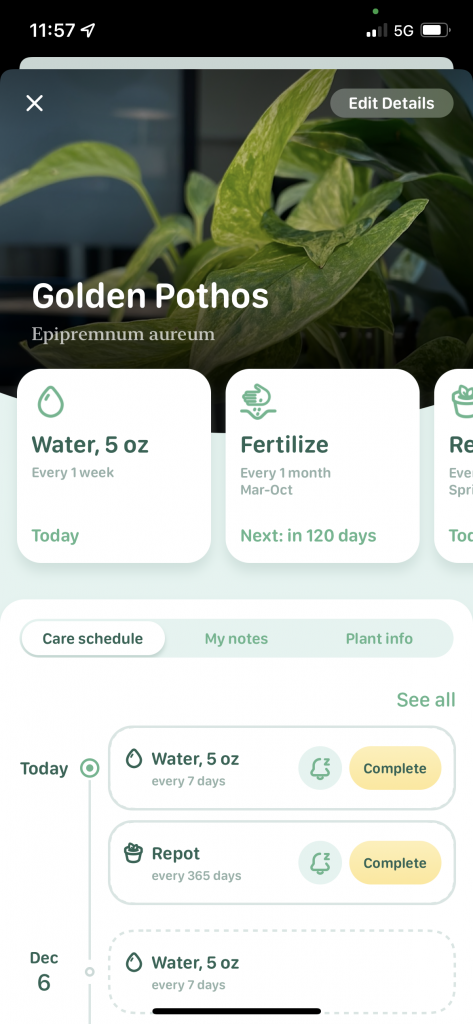 demonstrating the UX of a mobile app