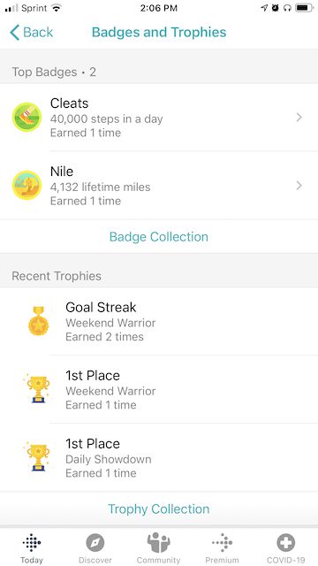 the design for an app\'s user interface