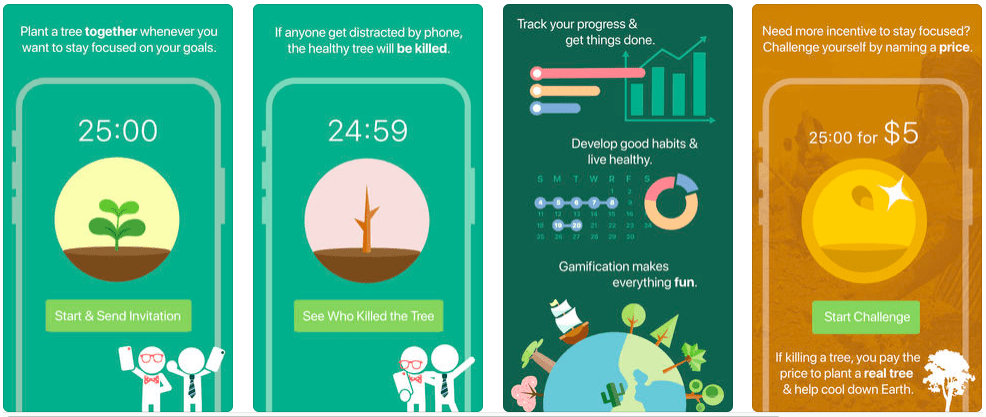 ux mockup of a custom web app