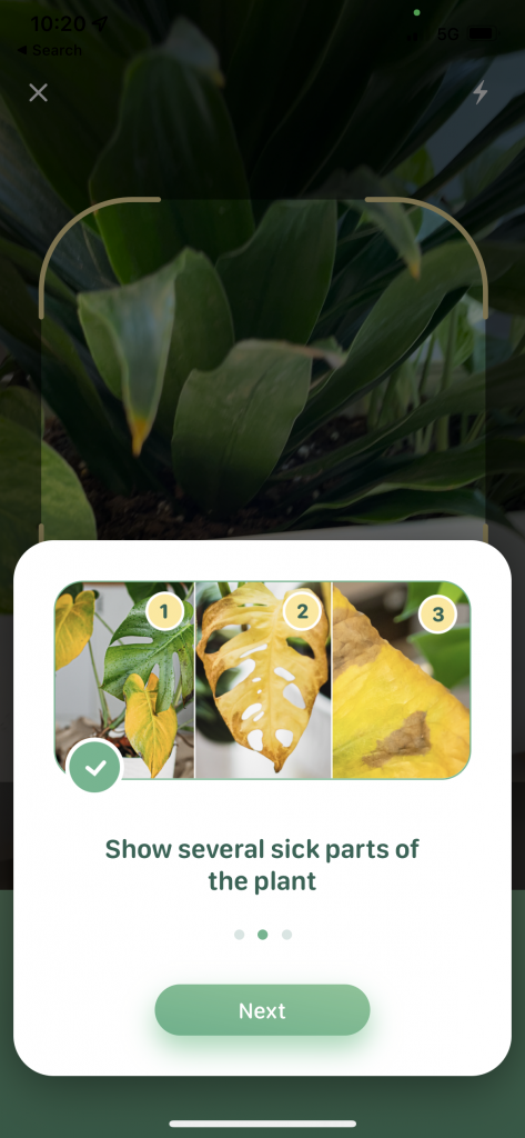 demonstrating the UX of a mobile app