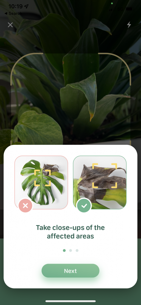 Behavioral design Blossom app